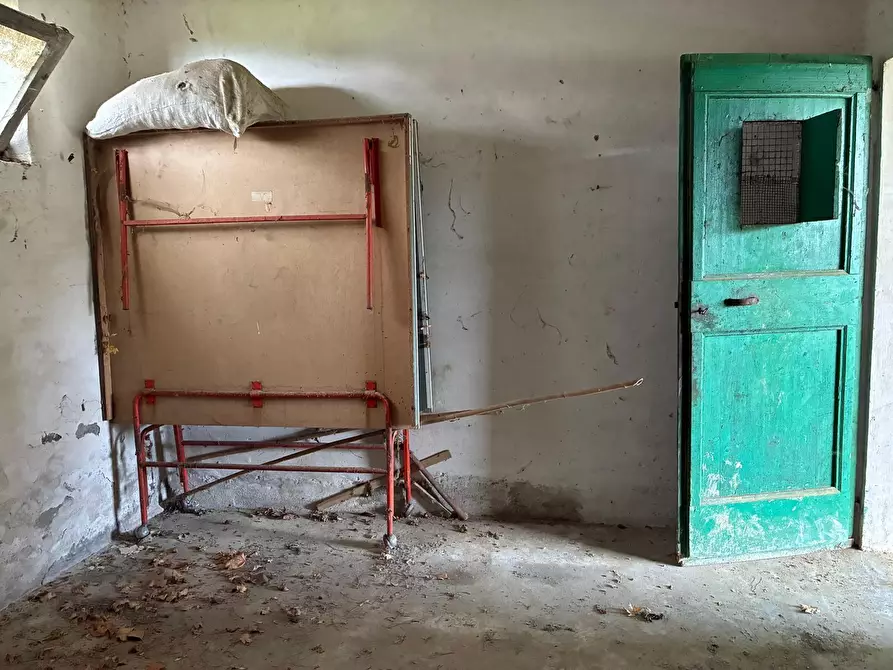 Immagine 32 di Rustico / casale in vendita  a Carassai