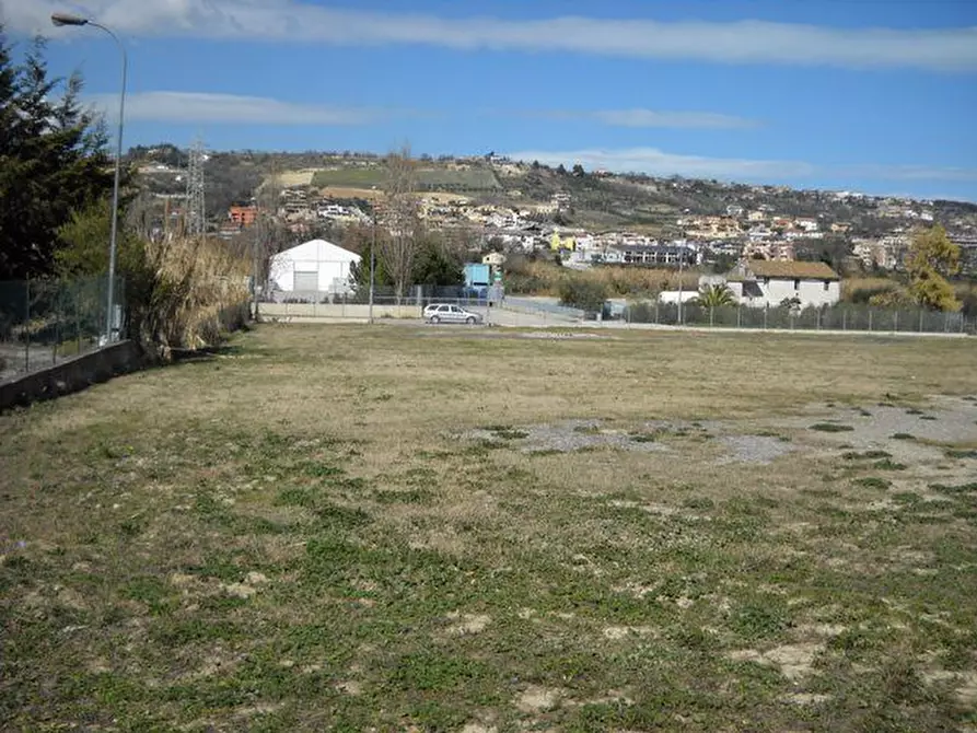 Immagine 14 di Terreno agricolo in affitto  a Grottammare