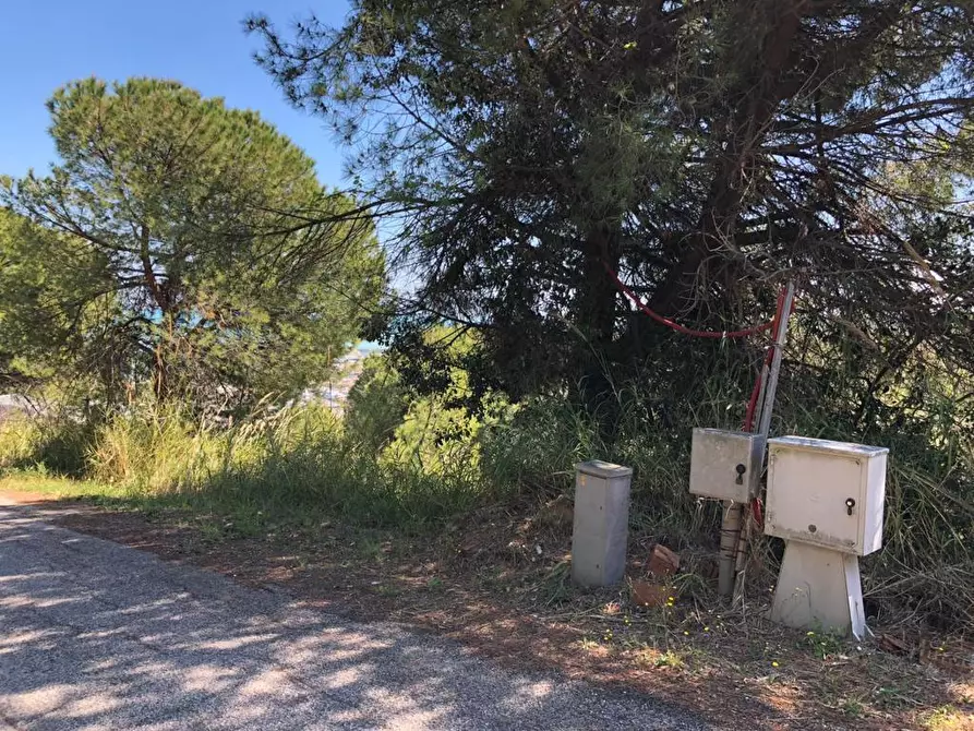 Immagine 4 di Terreno edificabile in vendita  a Grottammare