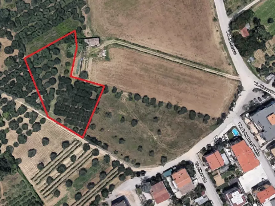 Immagine 1 di Terreno edificabile in vendita  in Vicolo Matteotti Secondo a Monteprandone
