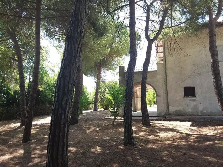 Immagine 21 di Terreno edificabile in vendita  a Tortoreto