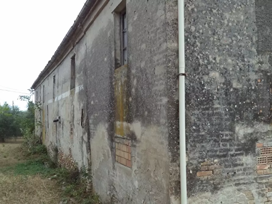 Immagine 4 di Rustico / casale in vendita  in Strada Provinciale 3 868 a Colonnella