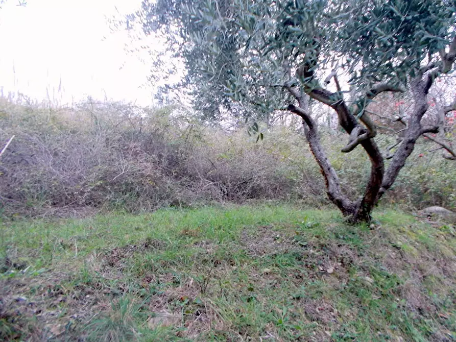 Immagine 18 di Rustico / casale in vendita  a San Benedetto Del Tronto