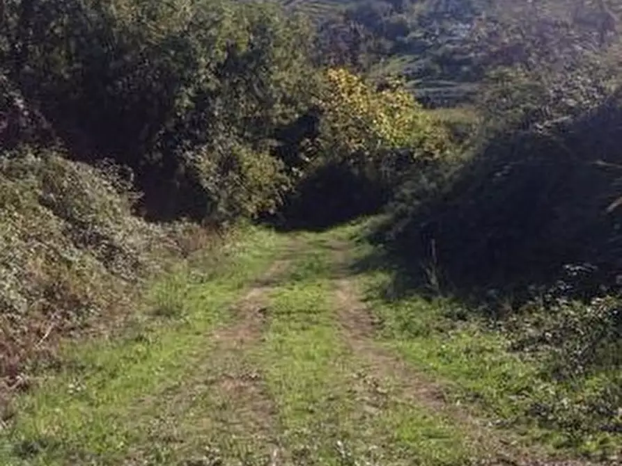 Immagine 13 di Rustico / casale in vendita  a San Benedetto Del Tronto