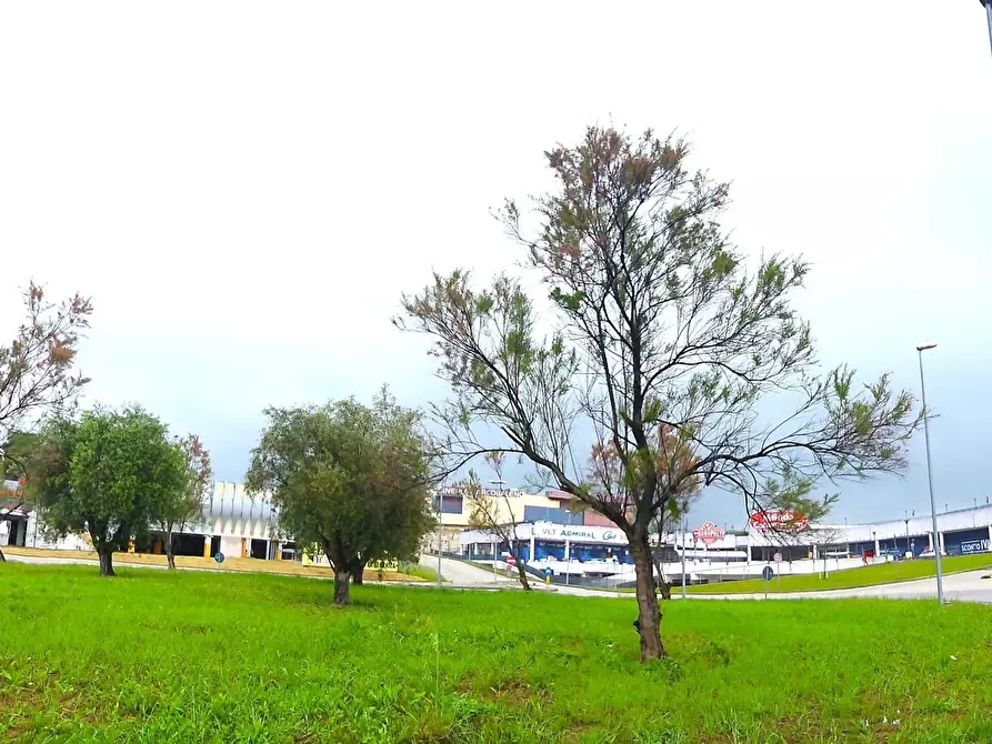 Immagine 37 di Palazzo in vendita  a Colonnella