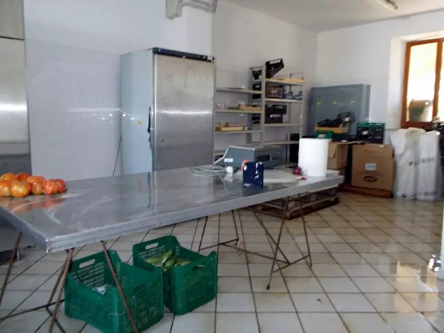 Immagine 5 di Azienda agricola in vendita  a Ripatransone