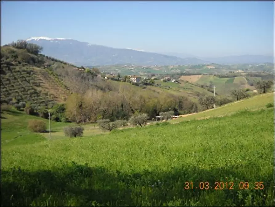 Immagine 5 di Terreno edificabile in vendita  a Castorano