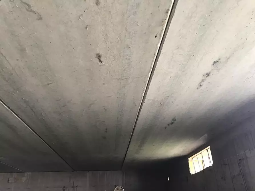 Immagine 3 di Terreno edificabile in vendita  a Falerone