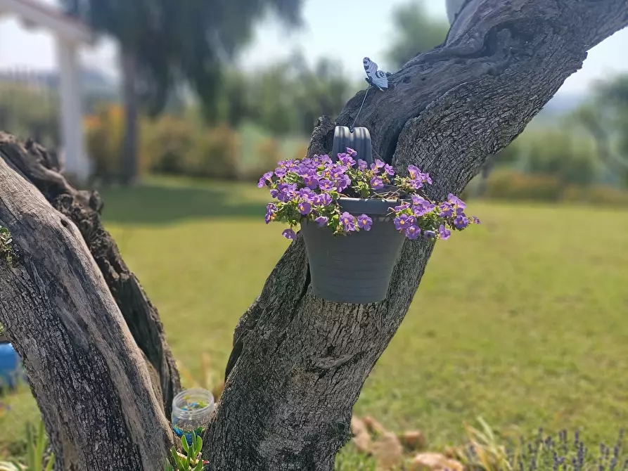 Immagine 35 di Casa indipendente in vendita  a Monteprandone