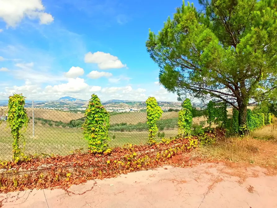 Immagine 47 di Casa indipendente in vendita  a Ancarano