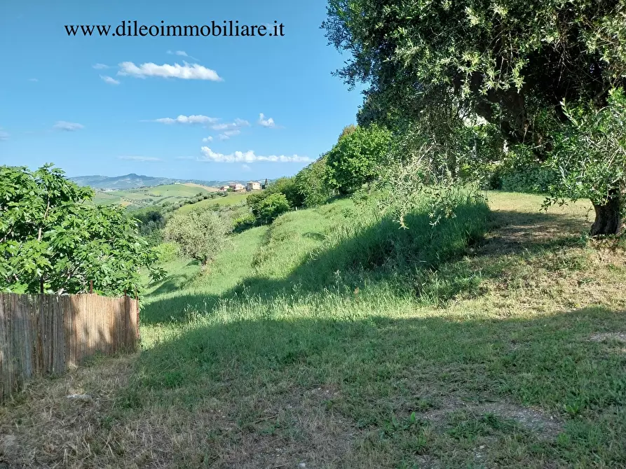 Immagine 23 di Casa indipendente in vendita  a Castorano