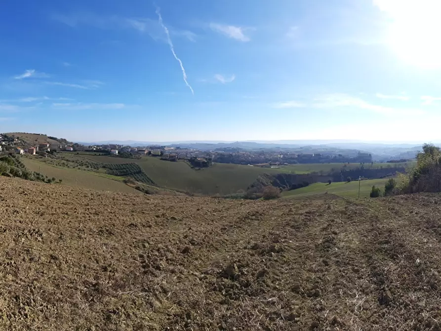 Immagine 5 di Casa indipendente in vendita  a Offida