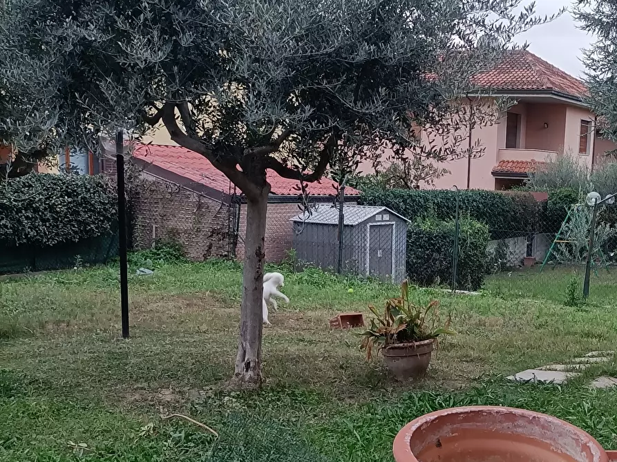 Immagine 9 di Casa indipendente in vendita  a Ascoli Piceno