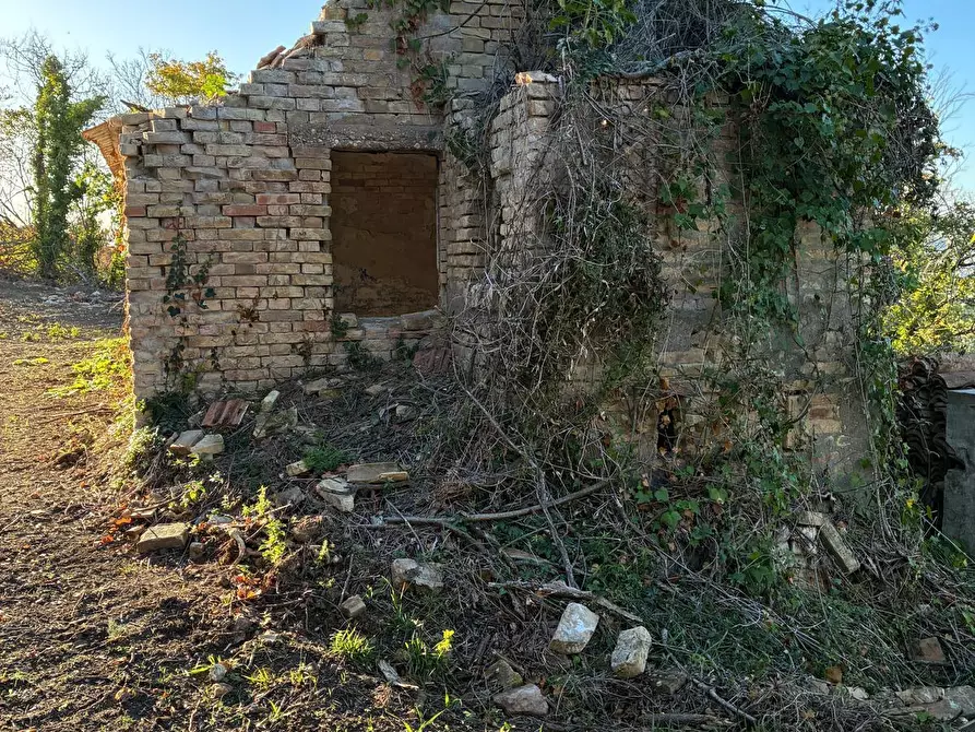 Immagine 7 di Casa indipendente in vendita  a Colonnella
