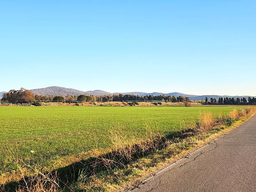 Immagine 4 di Terreno industriale in vendita  a Tarquinia