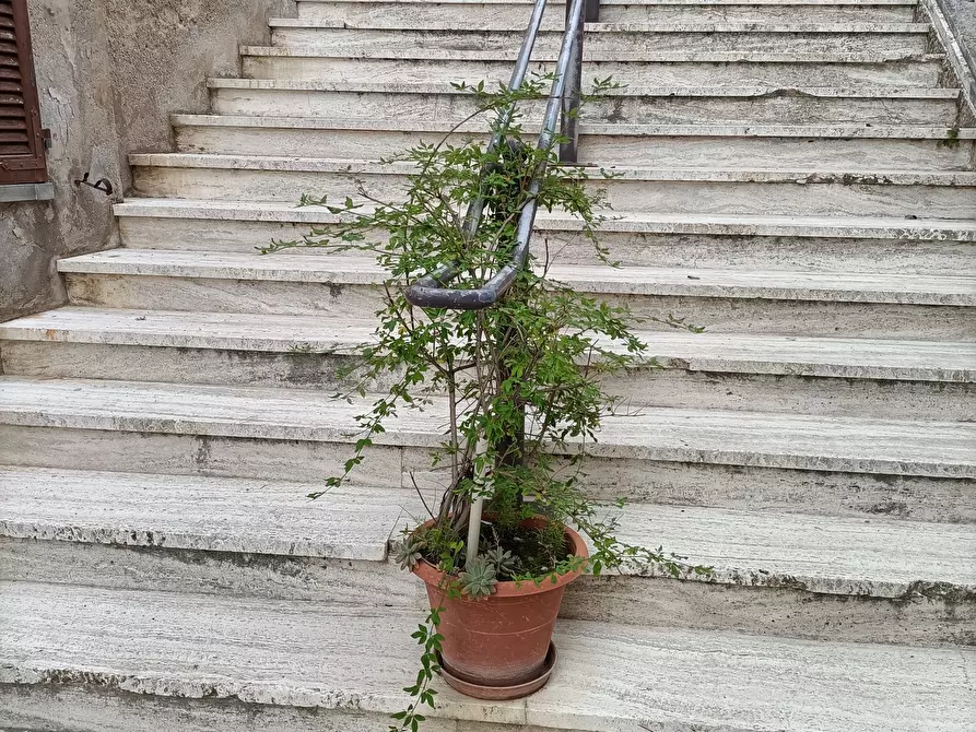 Immagine 5 di Casa indipendente in vendita  a Monsampolo Del Tronto