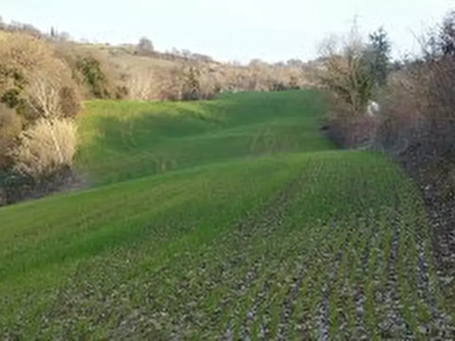 Immagine 28 di Casa indipendente in vendita  a Mondavio