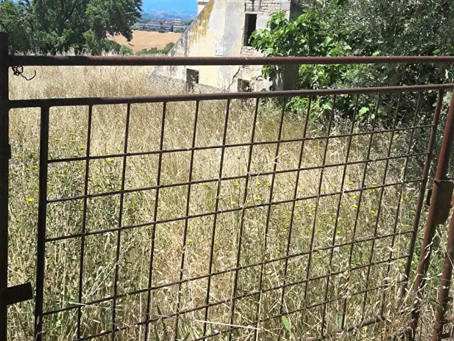 Immagine 5 di Rustico / casale in vendita  in Contrada Civita a Colonnella