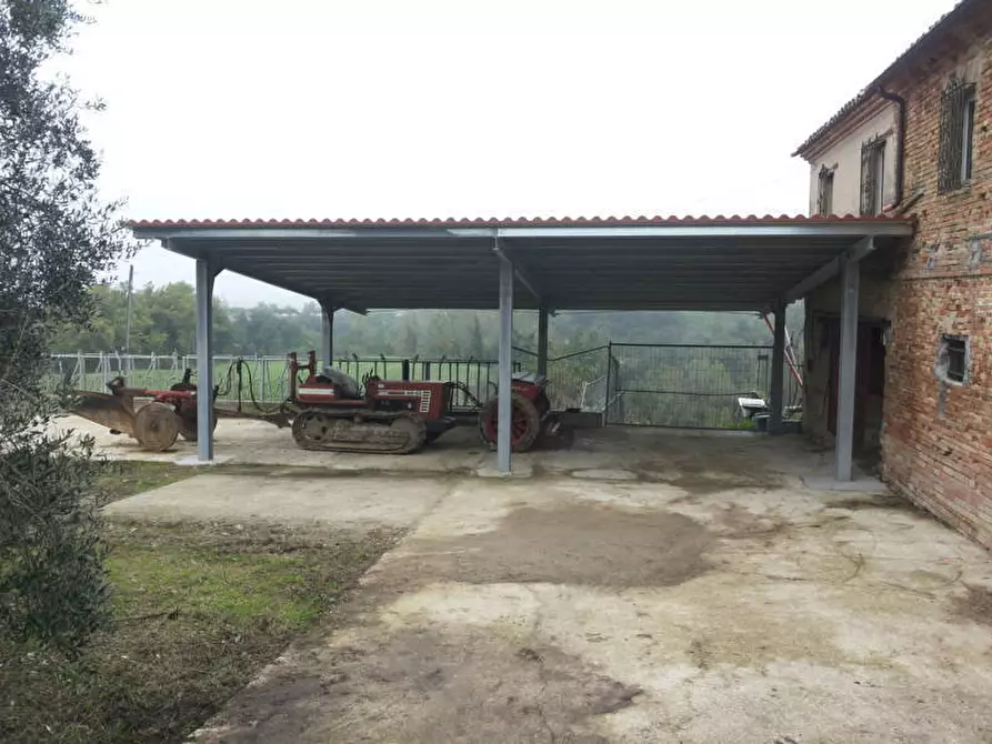 Immagine 21 di Terreno agricolo in vendita  a Mondavio