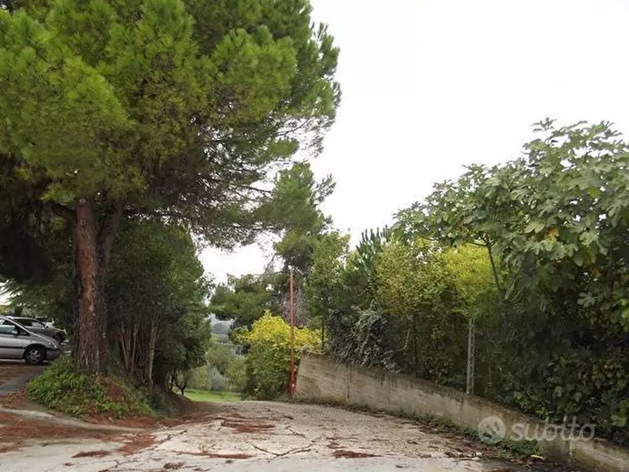 Immagine 6 di Capannone industriale in vendita  a Acquaviva Picena