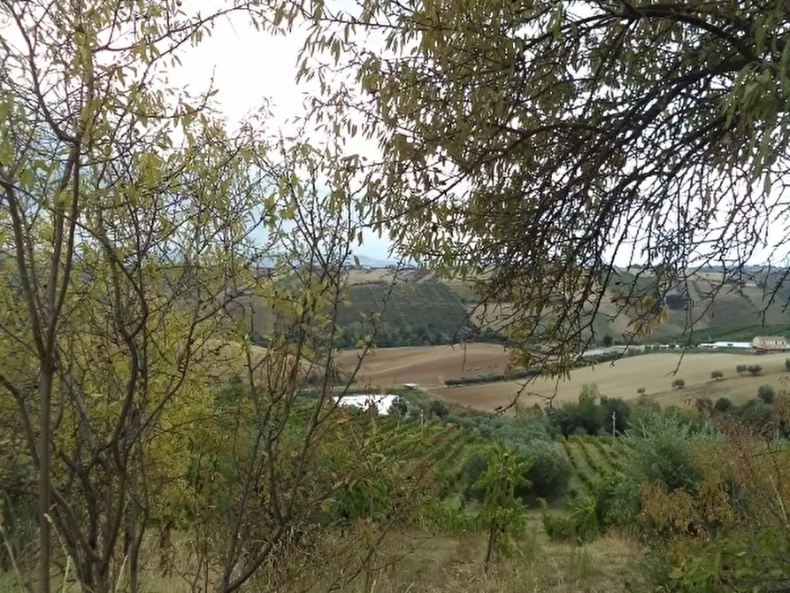 Immagine 4 di Casa indipendente in vendita  a Colonnella