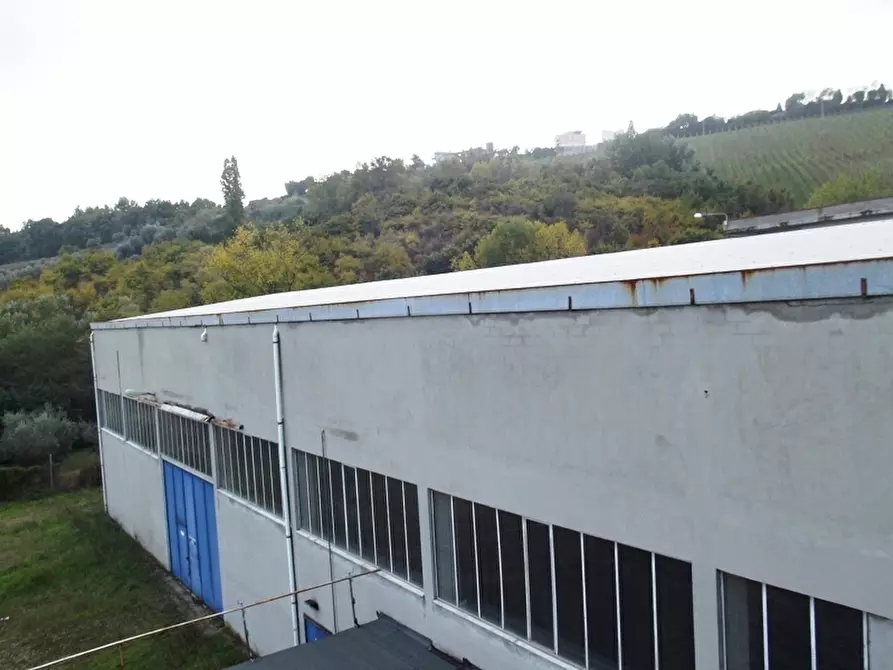 Immagine 39 di Capannone industriale in affitto  a Acquaviva Picena