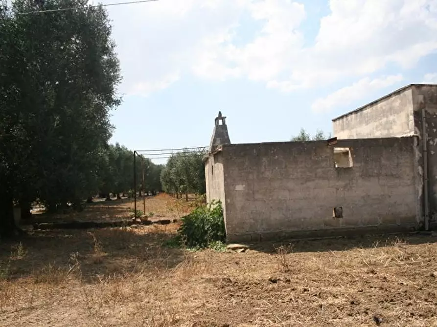 Immagine 32 di Terreno agricolo in vendita  in contrada mandrò a Cutrofiano