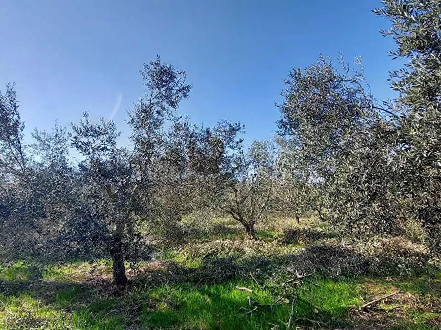 Immagine 22 di Casa indipendente in vendita  a San Benedetto Del Tronto