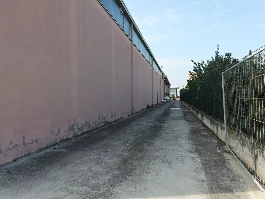 Immagine 8 di Attività artigianale in affitto  in statale 16 a San Benedetto Del Tronto