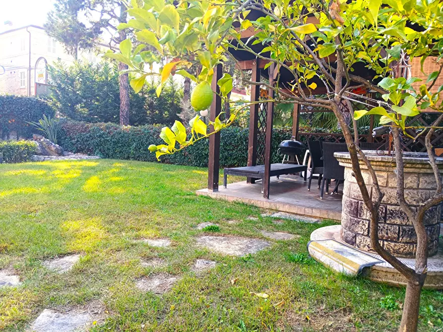 Immagine 4 di Casa indipendente in vendita  a San Benedetto Del Tronto