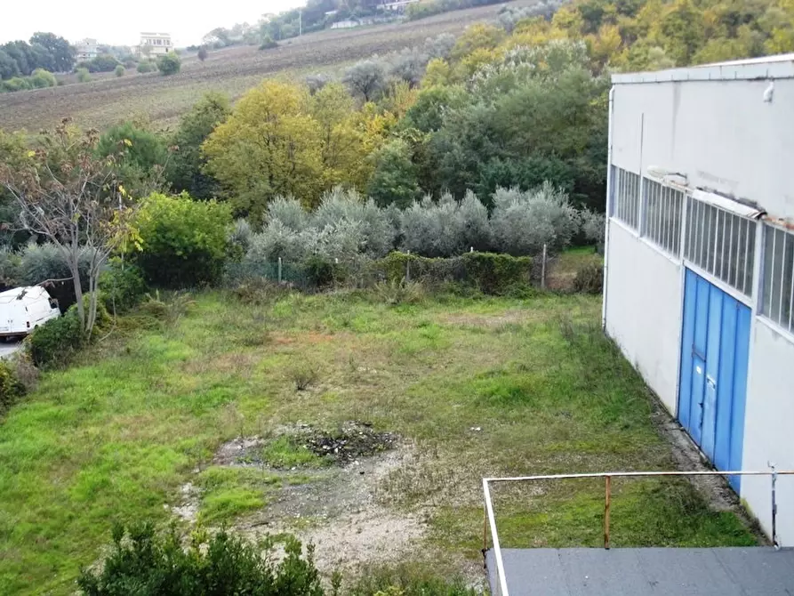 Immagine 14 di Capannone industriale in affitto  a Acquaviva Picena