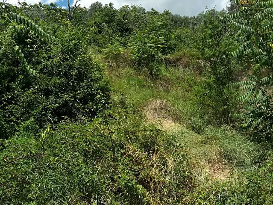 Immagine 17 di Casa indipendente in vendita  a Cupra Marittima