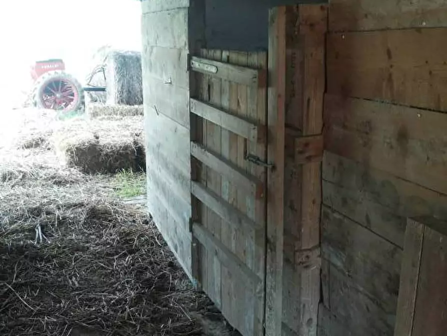 Immagine 7 di Casa indipendente in vendita  a Mondavio