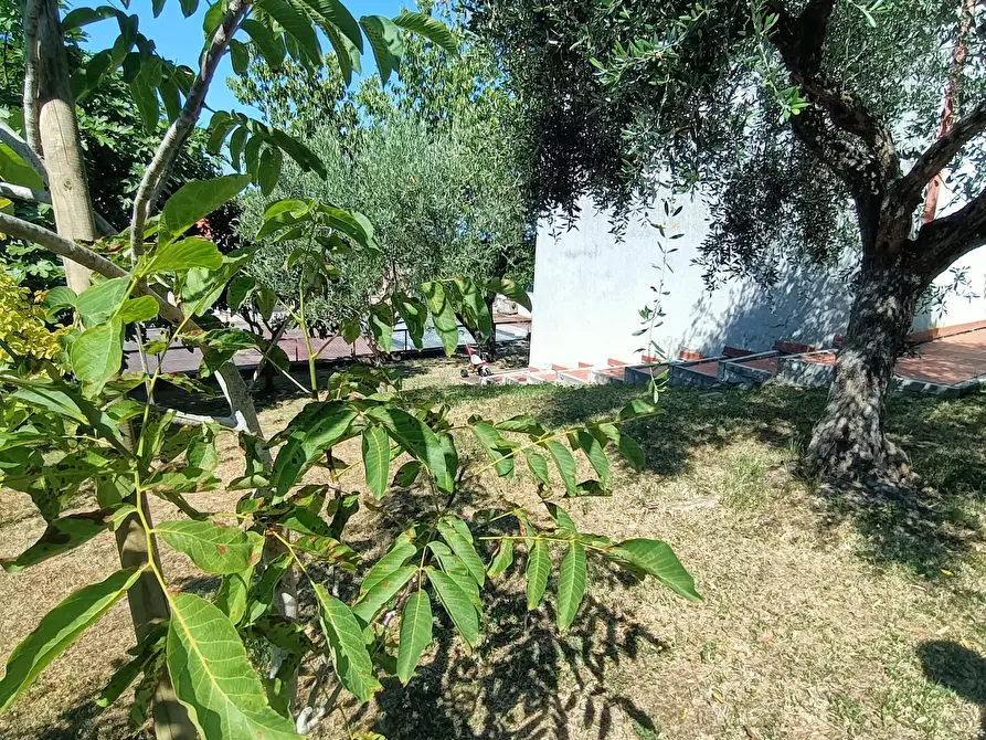 Immagine 52 di Casa indipendente in vendita  a Acquaviva Picena