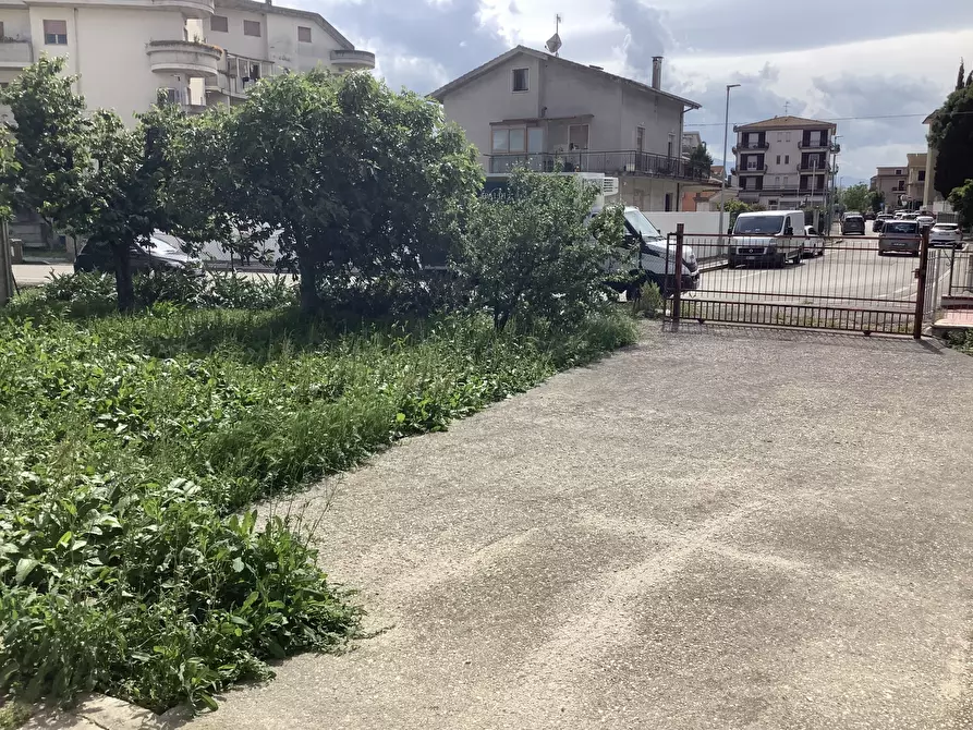 Immagine 1 di Terreno edificabile in vendita  a Monsampolo Del Tronto