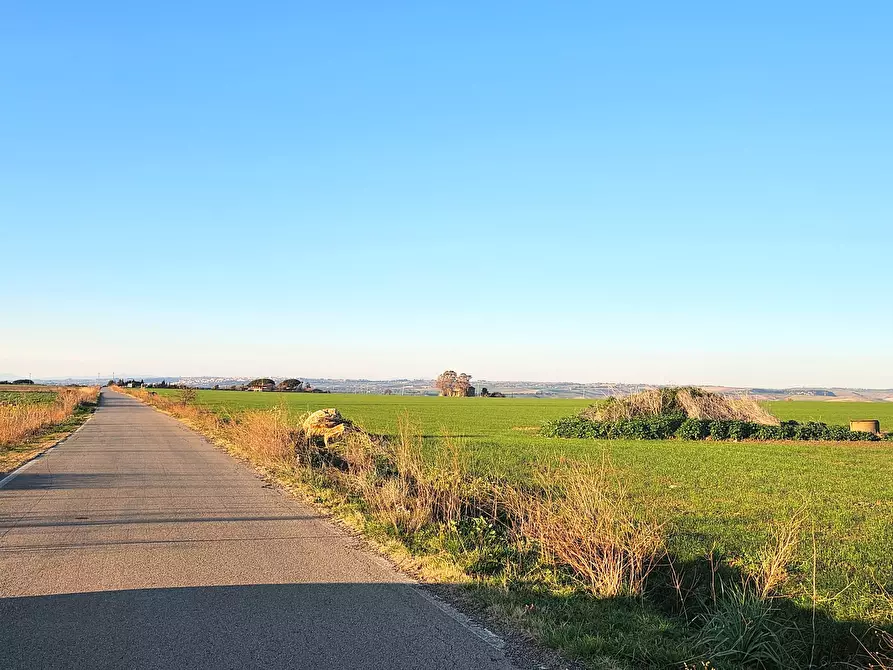 Immagine 18 di Terreno industriale in vendita  a Tarquinia