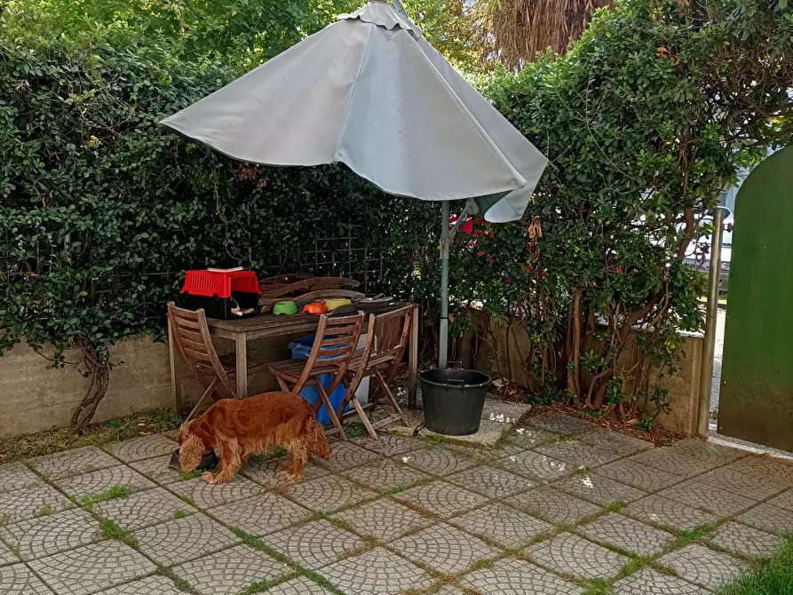 Immagine 50 di Appartamento in vendita  a San Benedetto Del Tronto