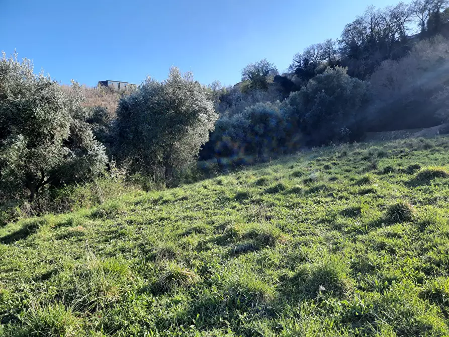 Immagine 18 di Casa indipendente in vendita  in cantina Cocci Grifoni a Ripatransone