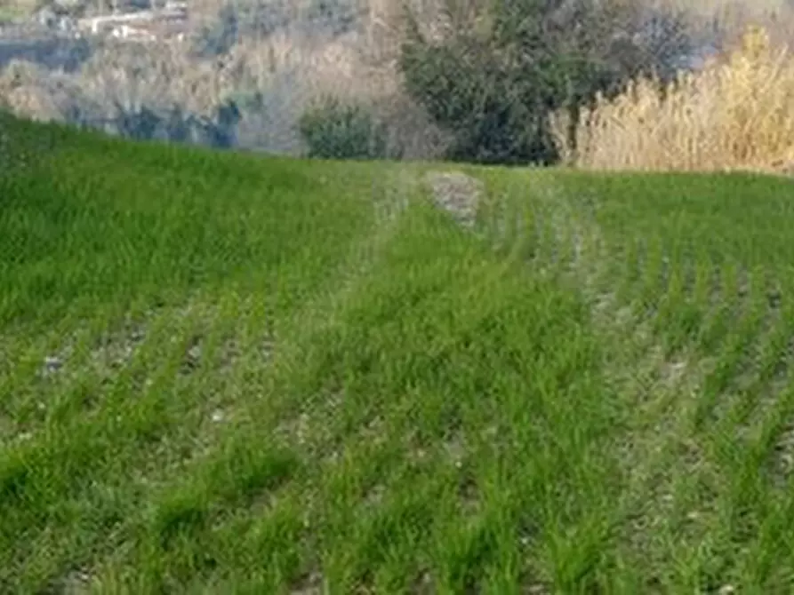 Immagine 26 di Casa indipendente in vendita  a Mondavio