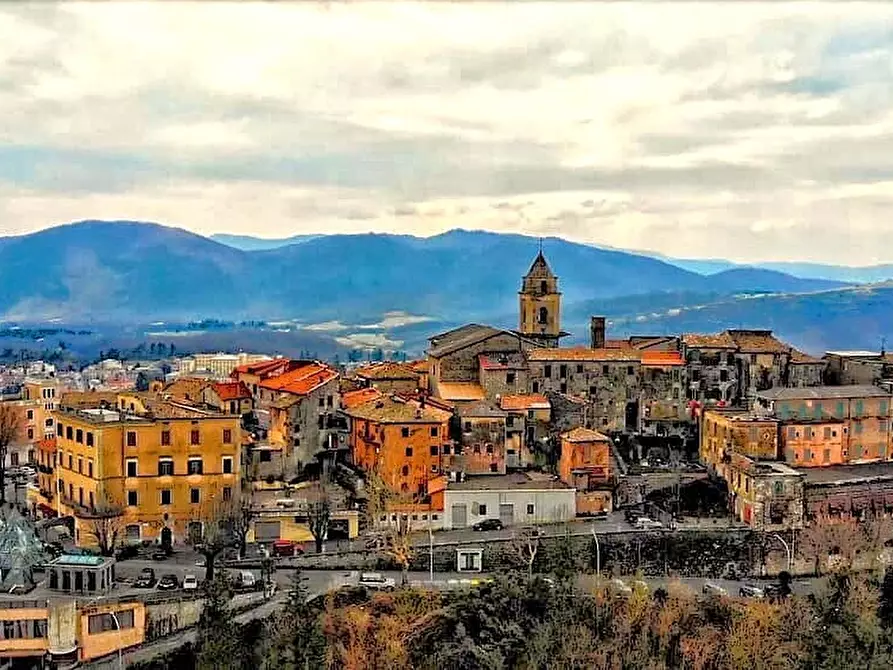 Immagine 1 di Laboratorio in vendita  a Fiuggi
