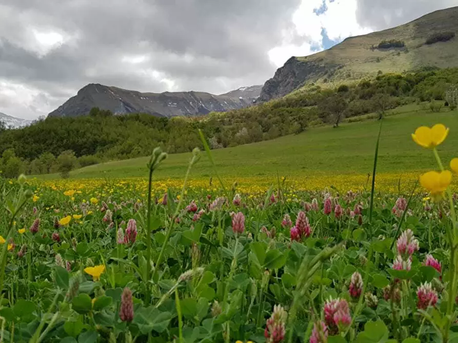 Immagine 33 di Rustico / casale in vendita  in VILLA CASALICCHIO s.n.c. a Amandola