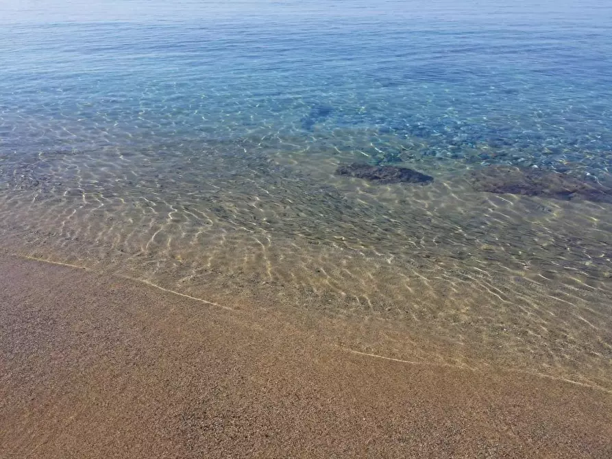 Immagine 6 di Albergo/B&B/Residence in vendita  a Santa Maria Del Cedro