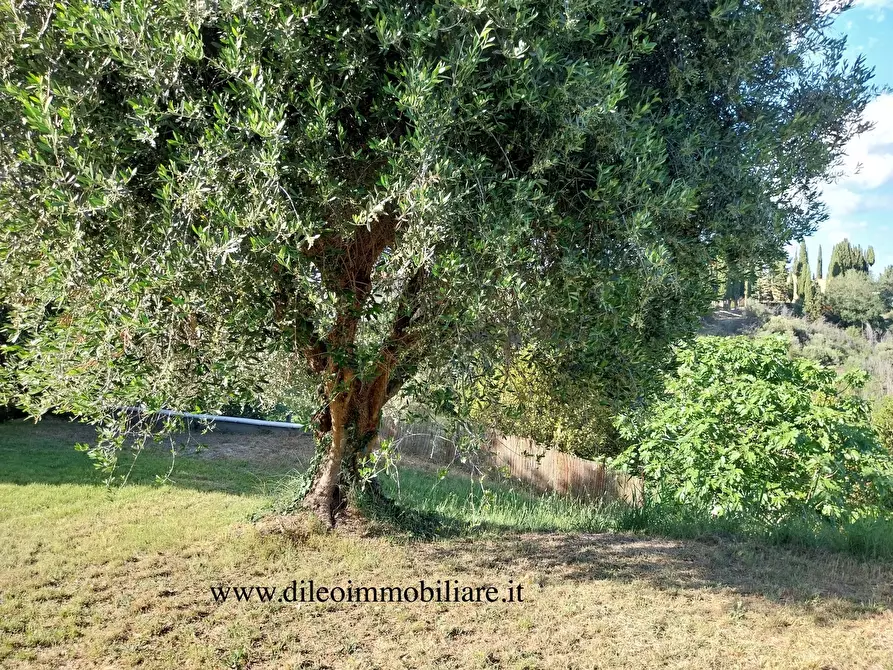 Immagine 24 di Casa indipendente in vendita  a Castorano