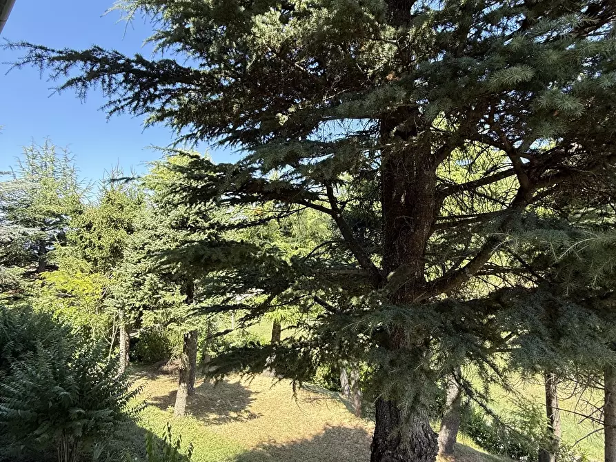 Immagine 26 di Casa bifamiliare in vendita  in Viale Gramsci 711 a Zocca