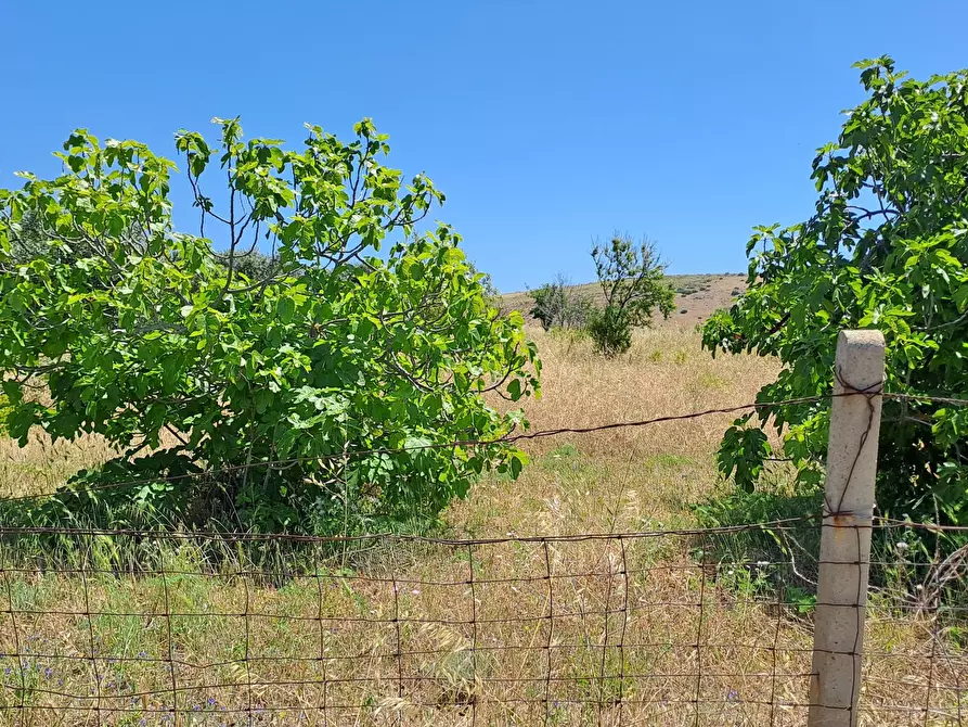 Immagine 7 di Terreno agricolo in vendita  a Settimo San Pietro