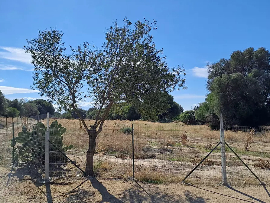 Immagine 16 di Terreno agricolo in vendita  a Quartucciu