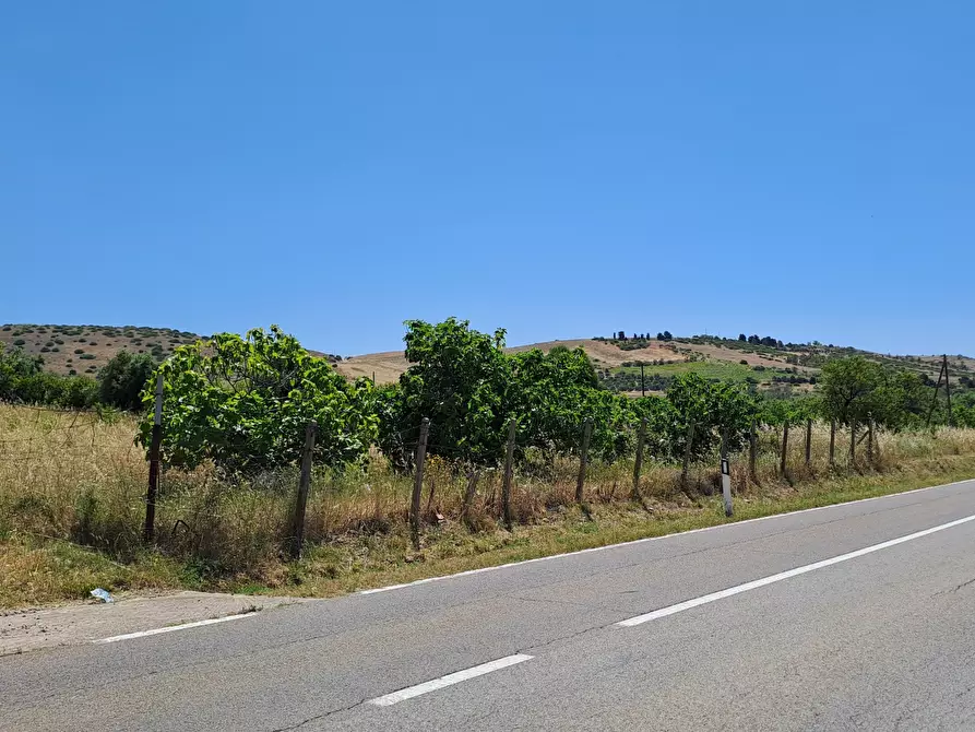 Immagine 4 di Terreno agricolo in vendita  a Settimo San Pietro