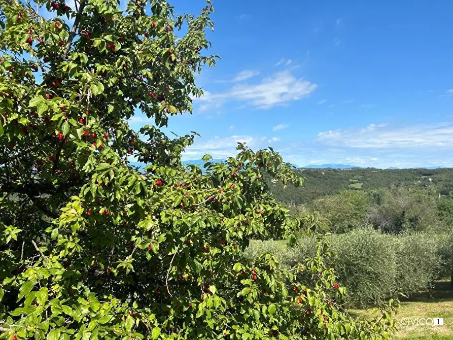 Immagine 23 di Rustico / casale in vendita  in Via Fagnini 8 a Villaga