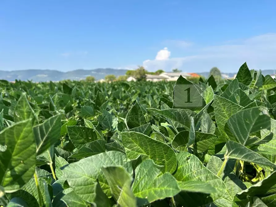 Immagine 1 di Terreno agricolo in vendita  in Via Volpara a Castegnero