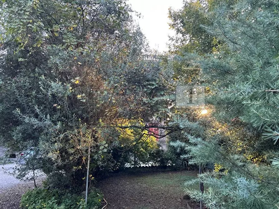 Immagine 23 di Villa in vendita  in Via Garibaldi 37 a Noventa Vicentina